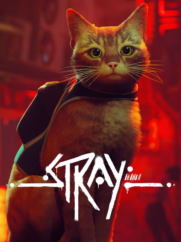 Stray | PS5