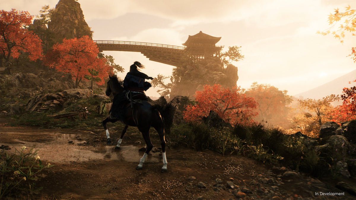 Rise of the Ronin - captura