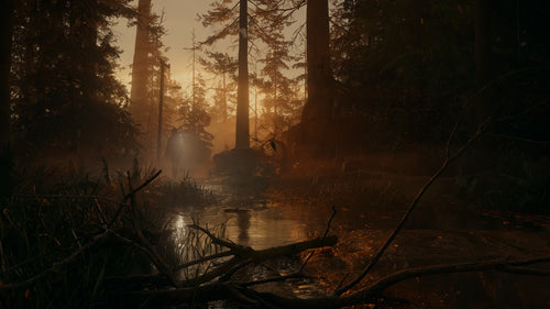 Alan Wake 2 - captura