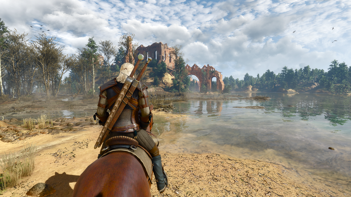 The Witcher 3: Wild Hunt - captura